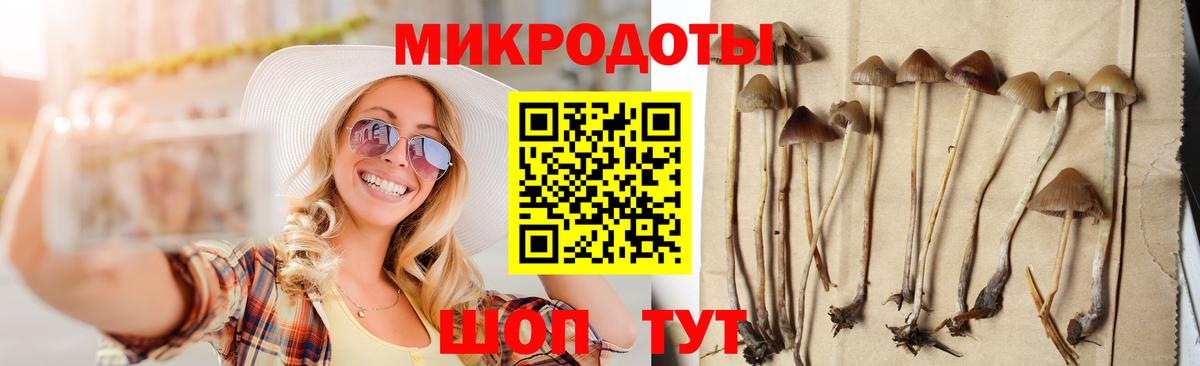 Псилоцибиновые грибы Psilocybine cubensis  Вход с VPN  Орехово-Зуево 